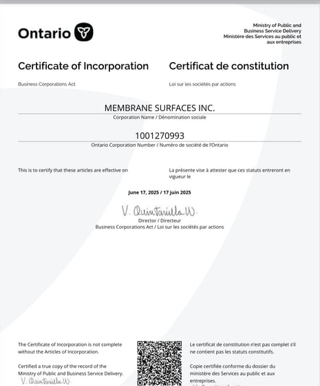 Certificate of Incorporation — Membrane Surfaces Inc. (Ontario 1001270993)