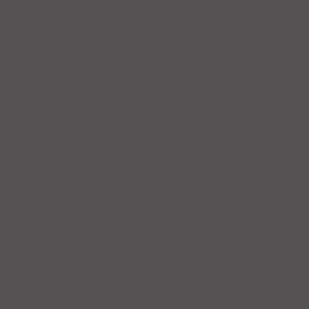 CGT Aquacolor Antracite