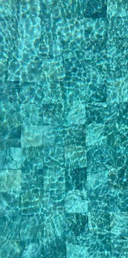 CGT Aquasense Signature fidji plus green